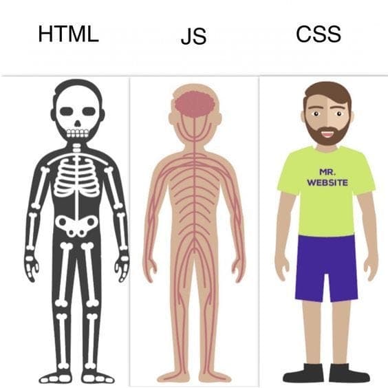 HTML vs CSS vs JavaScript